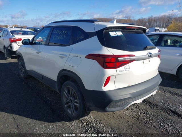KNDEPCAA7M7117551 KIA Seltos