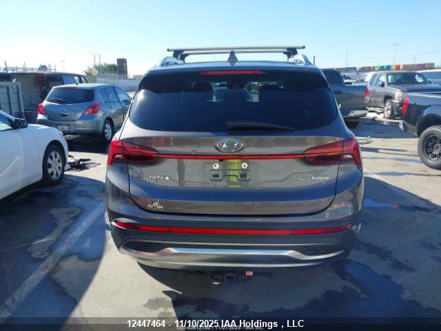 KM8S3DA15MU013562 Hyundai Santa Fe Sel Premium