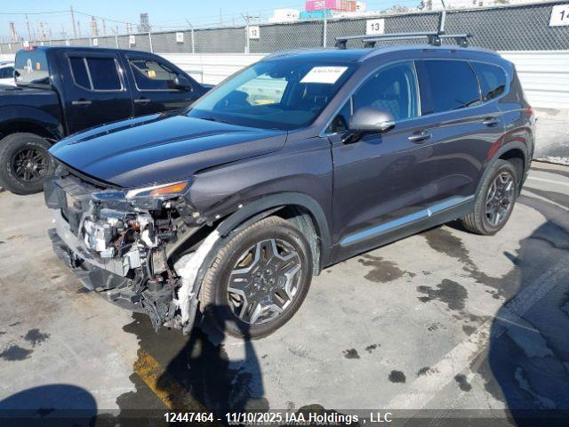 KM8S3DA15MU013562 Hyundai Santa Fe Sel Premium