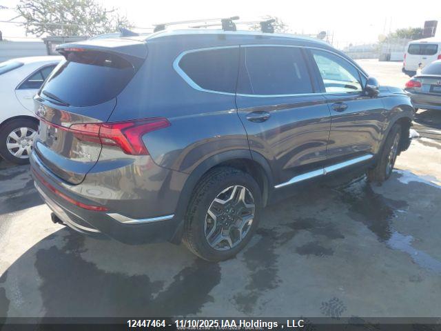 KM8S3DA15MU013562 Hyundai Santa Fe Sel Premium