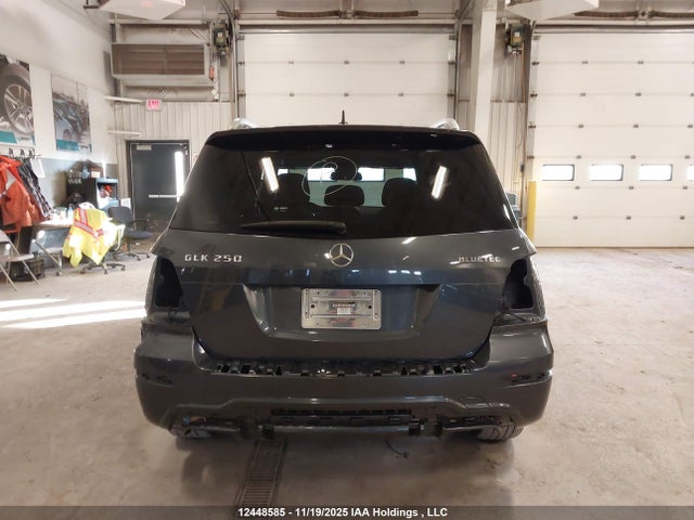 12448585 :رقم المزاد ، WDCGG0EB0FG436779 vin ، 2015 Mercedes-benz Glk 250 Bluetec مزاد بيع