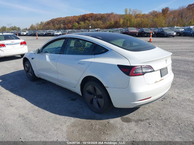 Tesla MODEL 3 2019 5YJ3E1EB9KF452984 Image 3