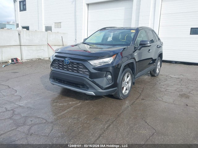 12449101 :رقم المزاد ، 2T3DWRFV5KW002767 vin ، 2019 Toyota Rav4 Limited مزاد بيع
