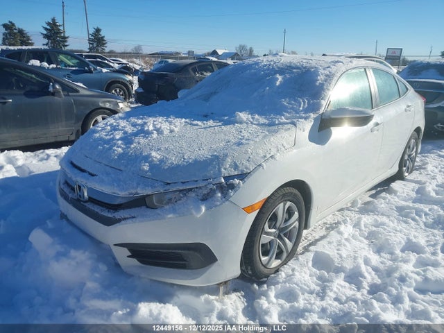 12449156 :رقم المزاد ، 2HGFC2F54HH003024 vin ، 2017 Honda Civic Lx مزاد بيع