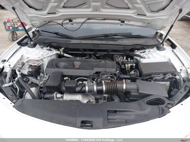 19UUB6F51MA801796 Acura k20c6