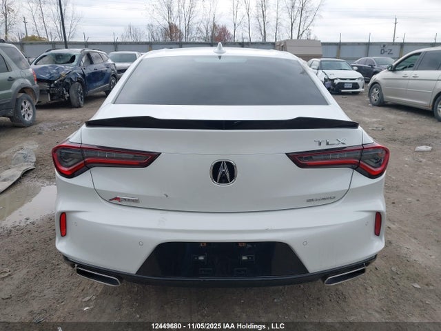 19UUB6F51MA801796 Acura k20c6