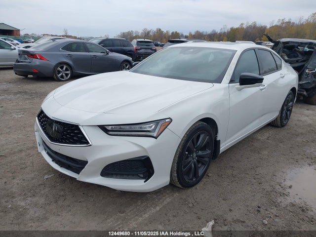 19UUB6F51MA801796 Acura k20c6