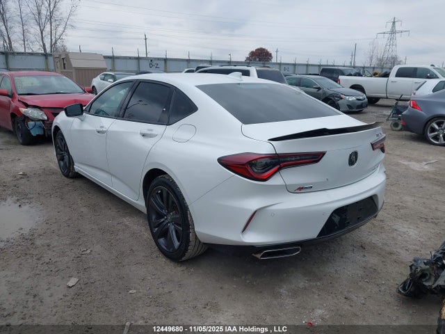 19UUB6F51MA801796 Acura k20c6