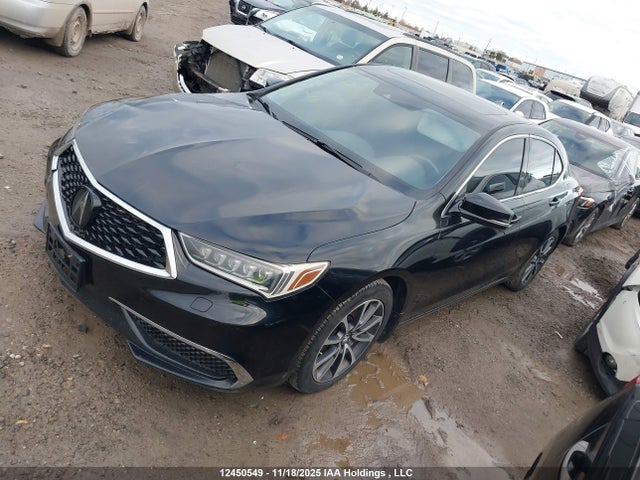 Acura j35y6 2019 19UUB3F31KA802411 Image 2