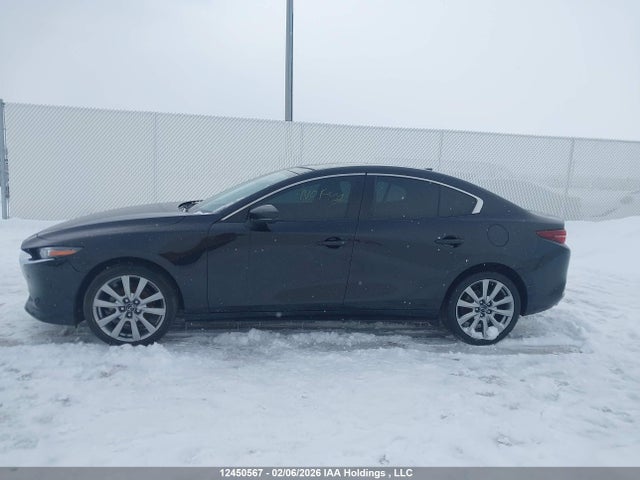 JM1BPADL7M1323976 Mazda MAZDA3