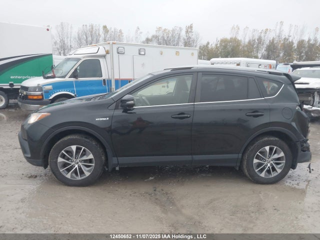 JTMRJREV5HD123309 Toyota Rav4 Hv Le/xle