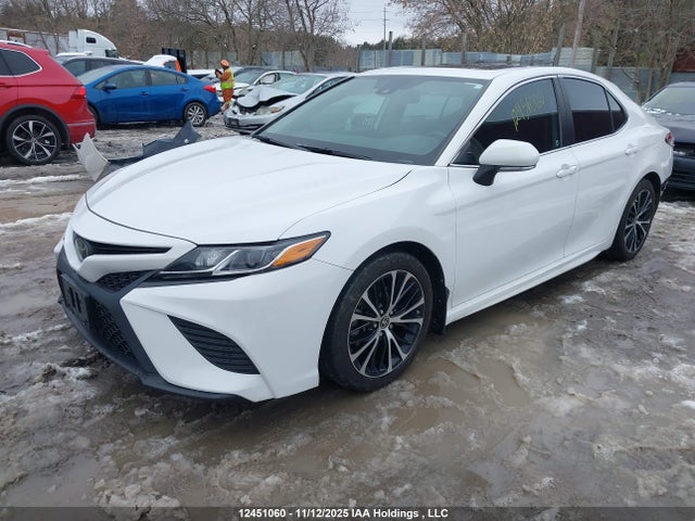 4T1J11BK4LU008004 Toyota CAMRY SE
