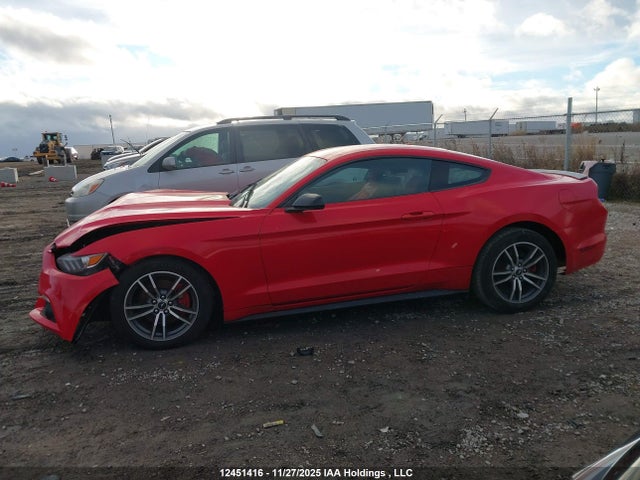 Ford Mustang 2015 1FA6P8TH6F5323931 Image 14