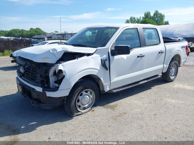 2024 Ford F150 Xl მანქანა იყიდება აუქციონზე, vin: 1FTEW1LP0RKD92627, აუქციონის ნომერი: 12451653