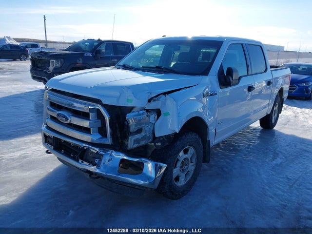 12452288 :رقم المزاد ، 1FTEW1EG3GFC85610 vin ، 2016 Ford F-150 Xlt مزاد بيع