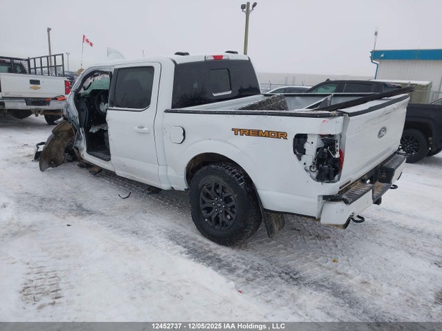 Aukcja sprzedaży 2025 Ford F150, vin: 1FTFW4L84SFB30039, numer aukcji: 12452737