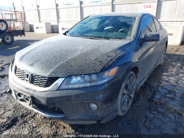 Aukcja sprzedaży 2015 Honda Accord Exl, vin: 1HGCT2A86FA800214, numer aukcji: 12455072