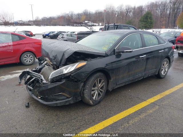 Продаж на аукціоні авто 2016 Hyundai Sonata, vin: 5NPE24AF9GH432139, номер лоту: 12455437