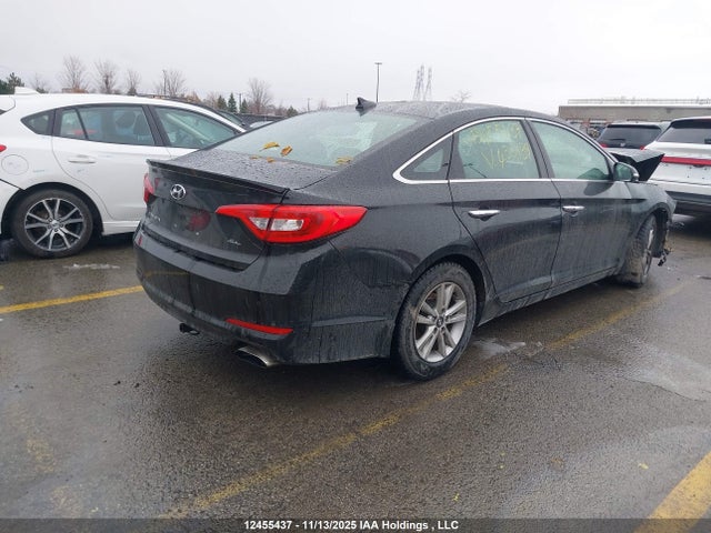 Продаж на аукціоні авто 2016 Hyundai Sonata, vin: 5NPE24AF9GH432139, номер лоту: 12455437