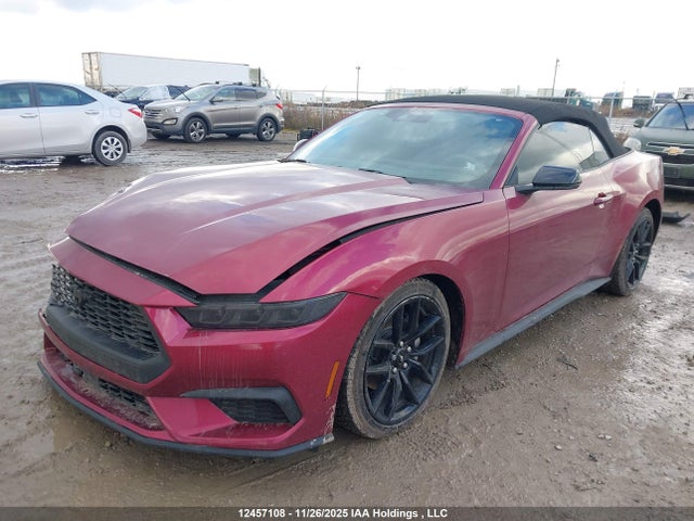 1FAGP8UHXS5107349 Ford Mustang Convertible