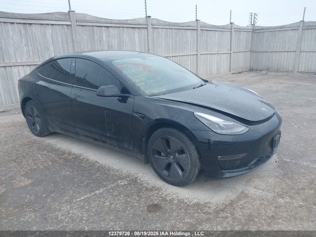 LRW3E1EB0PC851784 Tesla Model 3 Long Range
