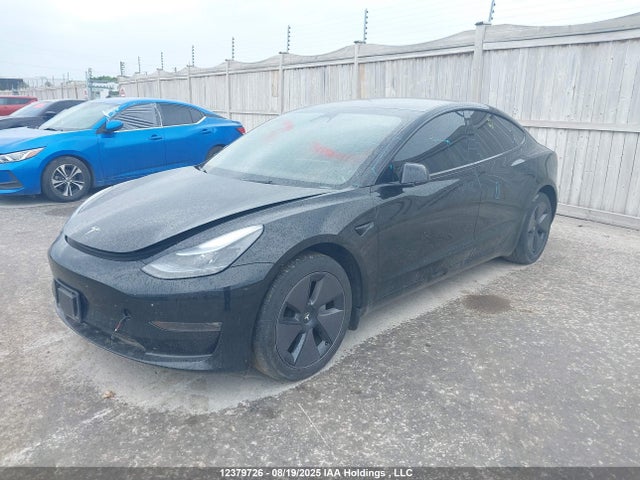 LRW3E1EB0PC851784 Tesla Model 3 Long Range