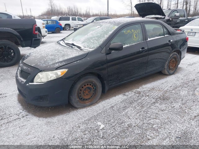 Продаж на аукціоні авто 2009 Toyota Corolla S/le/xle, vin: 2T1BU40E49C059085, номер лоту: 12459000