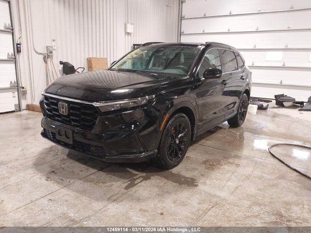 12459114 :رقم المزاد ، 2HKRS4H55RH100104 vin ، 2024 Honda Cr-v Sport مزاد بيع