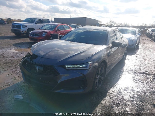 19UUB6F55MA802661 Acura k20c6