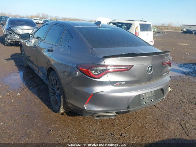 19UUB6F55MA802661 Acura k20c6