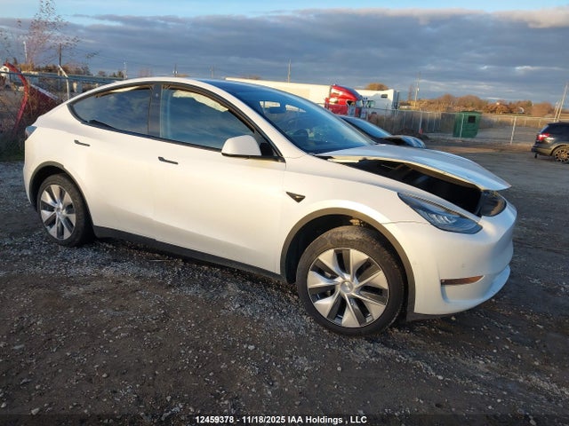 Aukcja sprzedaży 2022 Tesla Model Y, vin: 7SAYGDEE1NF504451, numer aukcji: 12459378