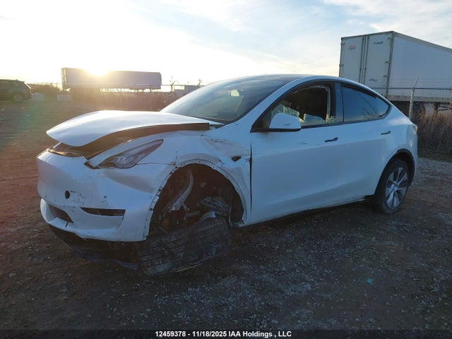 Aukcja sprzedaży 2022 Tesla Model Y, vin: 7SAYGDEE1NF504451, numer aukcji: 12459378