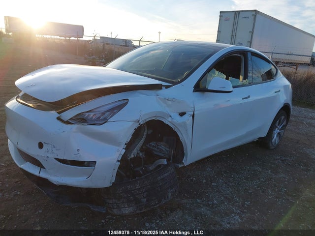 Aukcja sprzedaży 2022 Tesla Model Y, vin: 7SAYGDEE1NF504451, numer aukcji: 12459378
