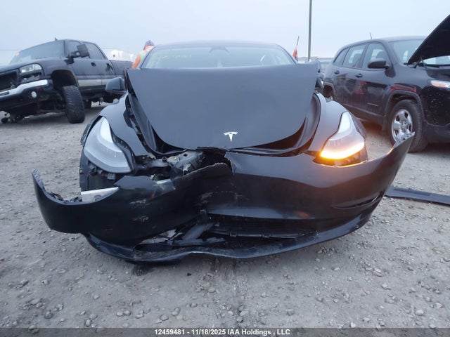 Auction sale of the 2023 Tesla Model 3, vin: 5YJ3E1EA7PF499395, lot number: 12459481
