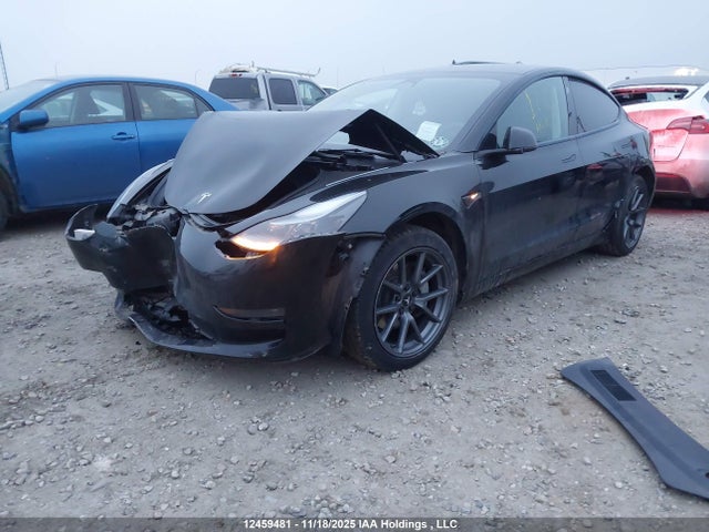 Auction sale of the 2023 Tesla Model 3, vin: 5YJ3E1EA7PF499395, lot number: 12459481