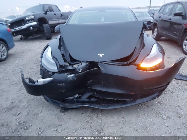 Auction sale of the 2023 Tesla Model 3, vin: 5YJ3E1EA7PF499395, lot number: 12459481
