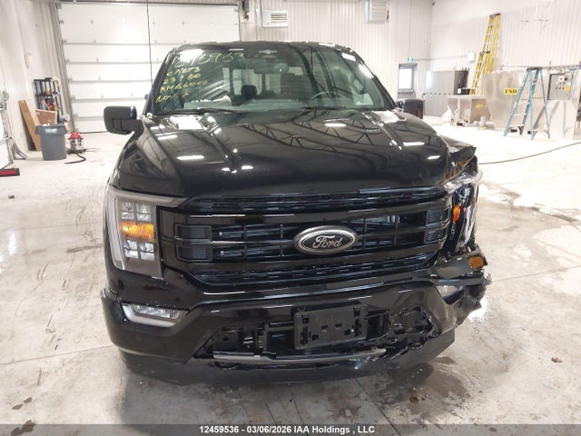 Продажа на аукционе авто 2023 Ford F150 Supercrew, vin: 1FTEW1EP1PFC71673, номер лота: 12459536