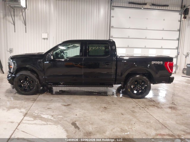 Продажа на аукционе авто 2023 Ford F150 Supercrew, vin: 1FTEW1EP1PFC71673, номер лота: 12459536