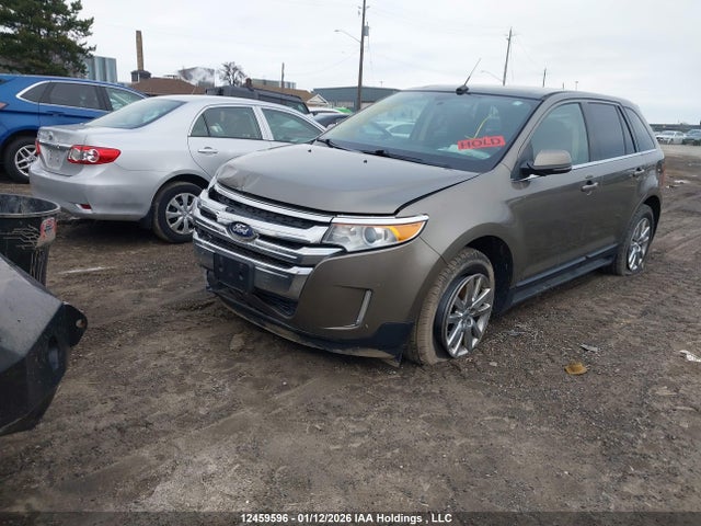 12459596 :رقم المزاد ، 2FMDK3K97EBA72954 vin ، 2014 Ford Edge Limited مزاد بيع