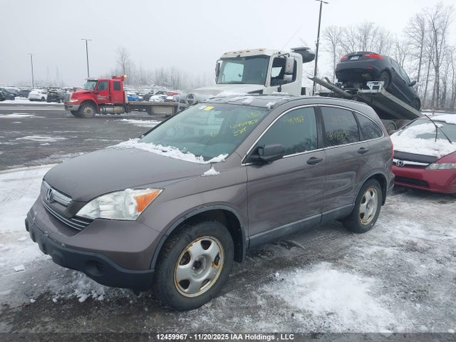 Aukcja sprzedaży 2009 Honda Cr-v Ex, vin: 5J6RE48529L812406, numer aukcji: 12459967