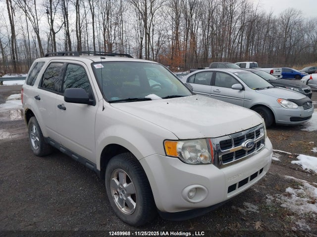 12459968 :رقم المزاد ، 1FMCU0DG2BKB67861 vin ، 2011 Ford Escape Xlt مزاد بيع