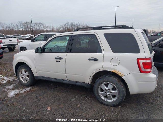 12459968 :رقم المزاد ، 1FMCU0DG2BKB67861 vin ، 2011 Ford Escape Xlt مزاد بيع