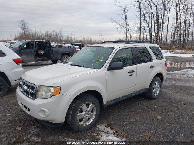 12459968 :رقم المزاد ، 1FMCU0DG2BKB67861 vin ، 2011 Ford Escape Xlt مزاد بيع