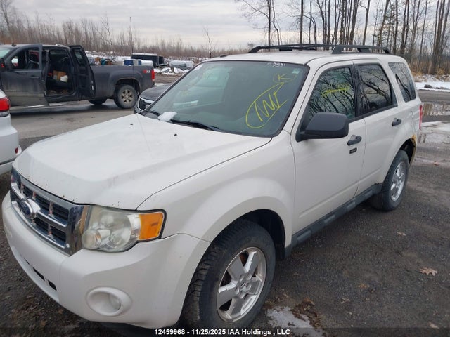 12459968 :رقم المزاد ، 1FMCU0DG2BKB67861 vin ، 2011 Ford Escape Xlt مزاد بيع
