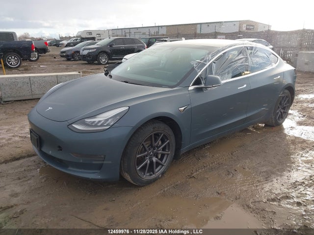 Продажа на аукционе авто 2020 Tesla Model 3, vin: 5YJ3E1EB9LF670523, номер лота: 12459976
