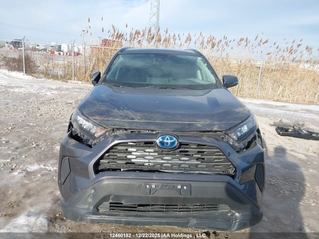 Aukcja sprzedaży 2024 Toyota Rav4 Hybrid Le, vin: 2T3BWRFV2RW230128, numer aukcji: 12460182