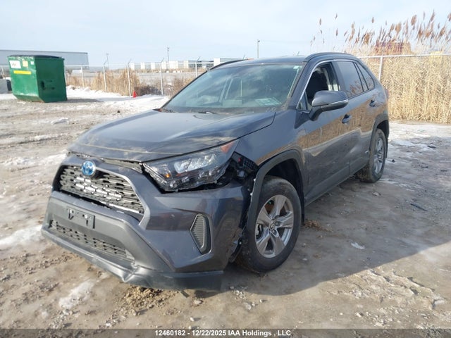 Aukcja sprzedaży 2024 Toyota Rav4 Hybrid Le, vin: 2T3BWRFV2RW230128, numer aukcji: 12460182