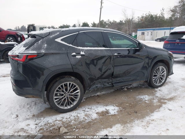 Lexus NX 2026 2T2GKCEZ4TC061830 Image 12