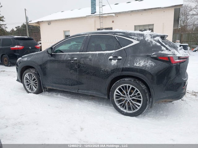 Lexus NX 2026 2T2GKCEZ4TC061830 Image 13