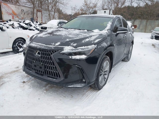 Lexus NX 2026 2T2GKCEZ4TC061830 Image 2